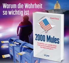 Buch - 2000 Mules - Dinesh D´Souza